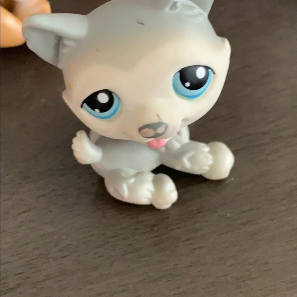 Lps husky blue eyes